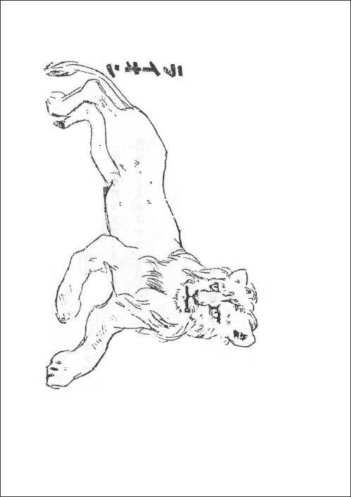 ライオンの挿絵